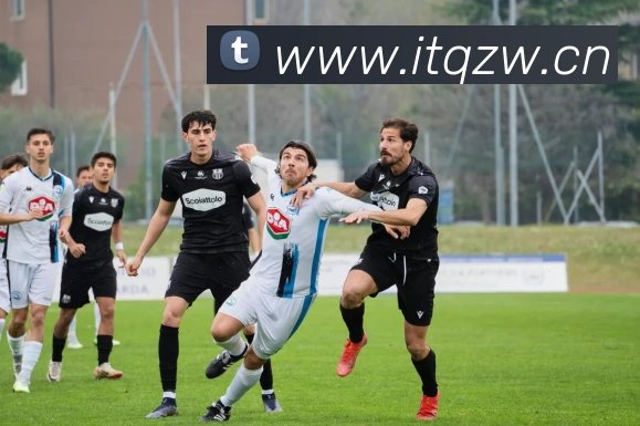 平台展示图